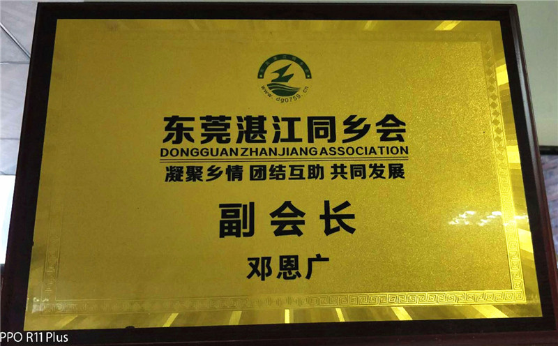 榮譽資質